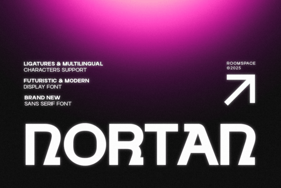 Nortan Font Review: A Bold Display for Modern Design